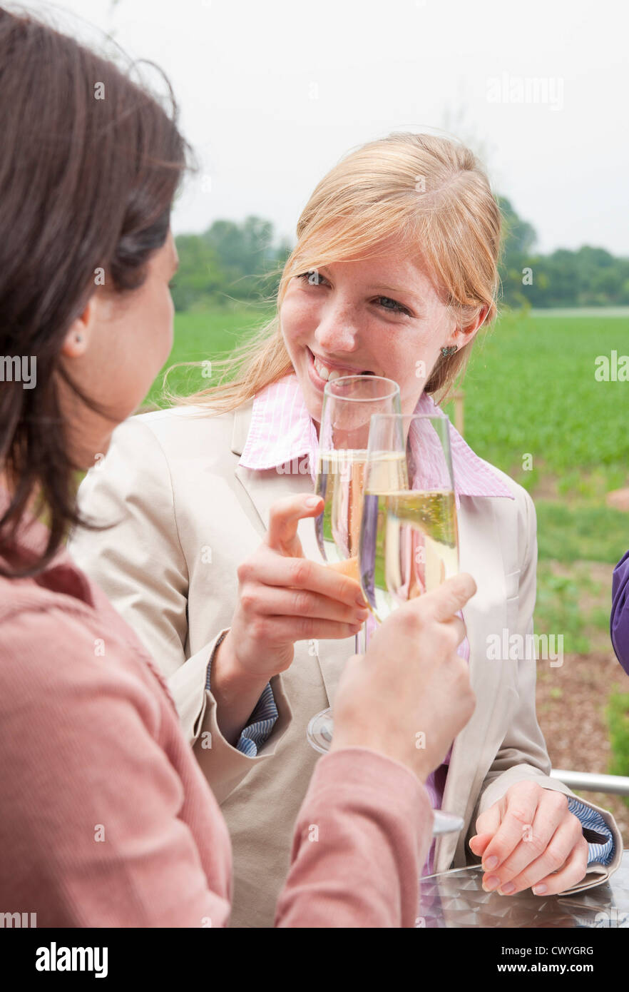 Friends toasting with champagne glasses Stock Photo Alamy