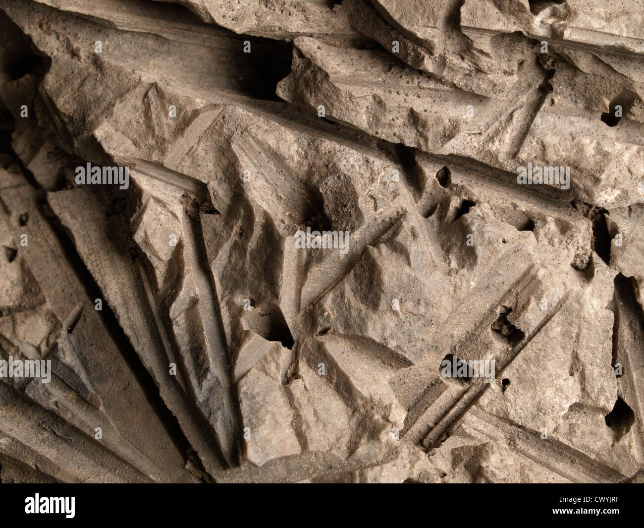 Cilisified Rocks Leached Stock Photos & Leached Stock Images - Alamy