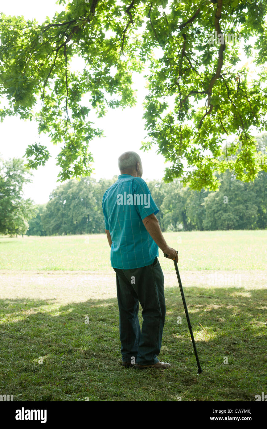 Old man standing on meadow Stock Photo - Alamy