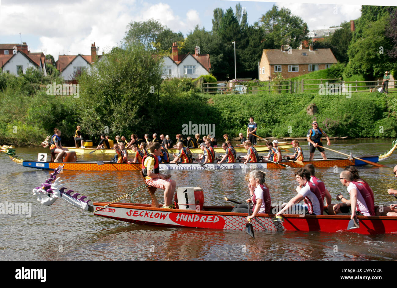 Dragon Boat racing River Severn Worcester Worcestershire England UK Stock Photo
