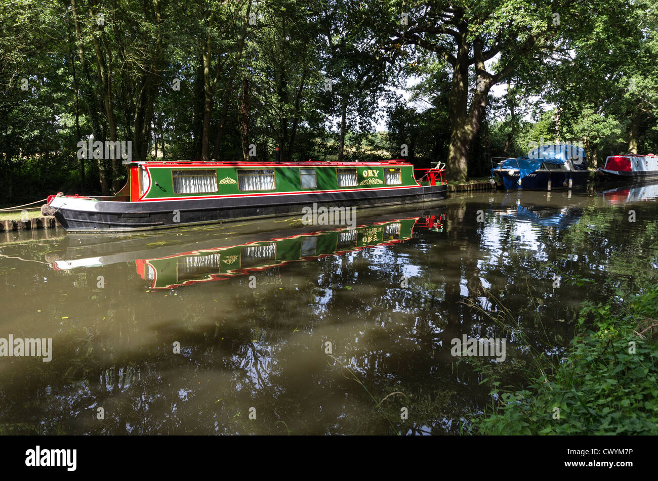 Longboat on River Wey, Pyrford, Surrey Stock Photo Alamy