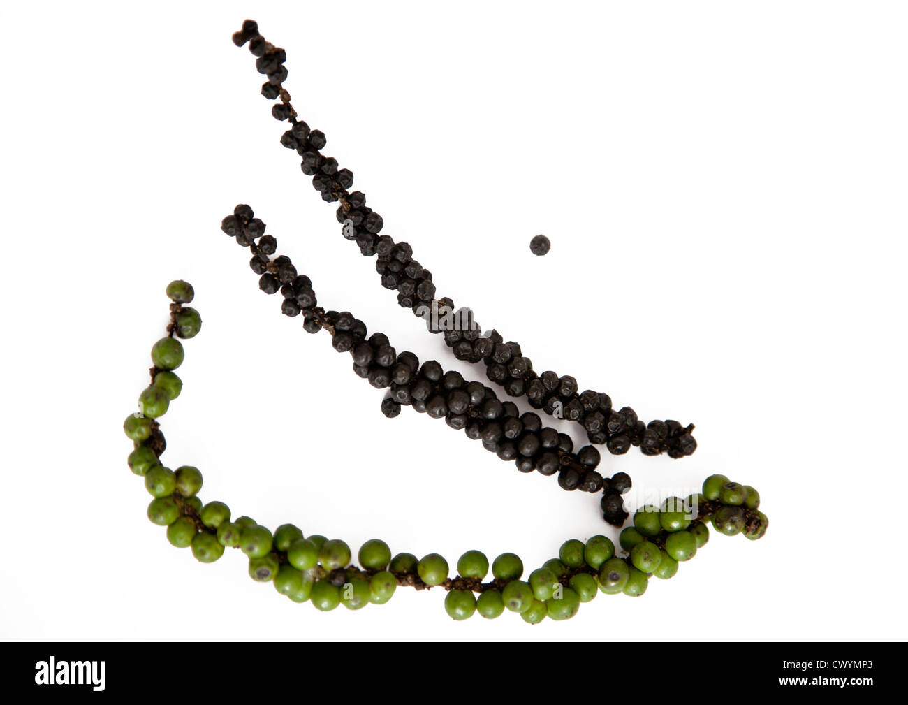 Black and green Cut Out Stock Images & Pictures Alamy