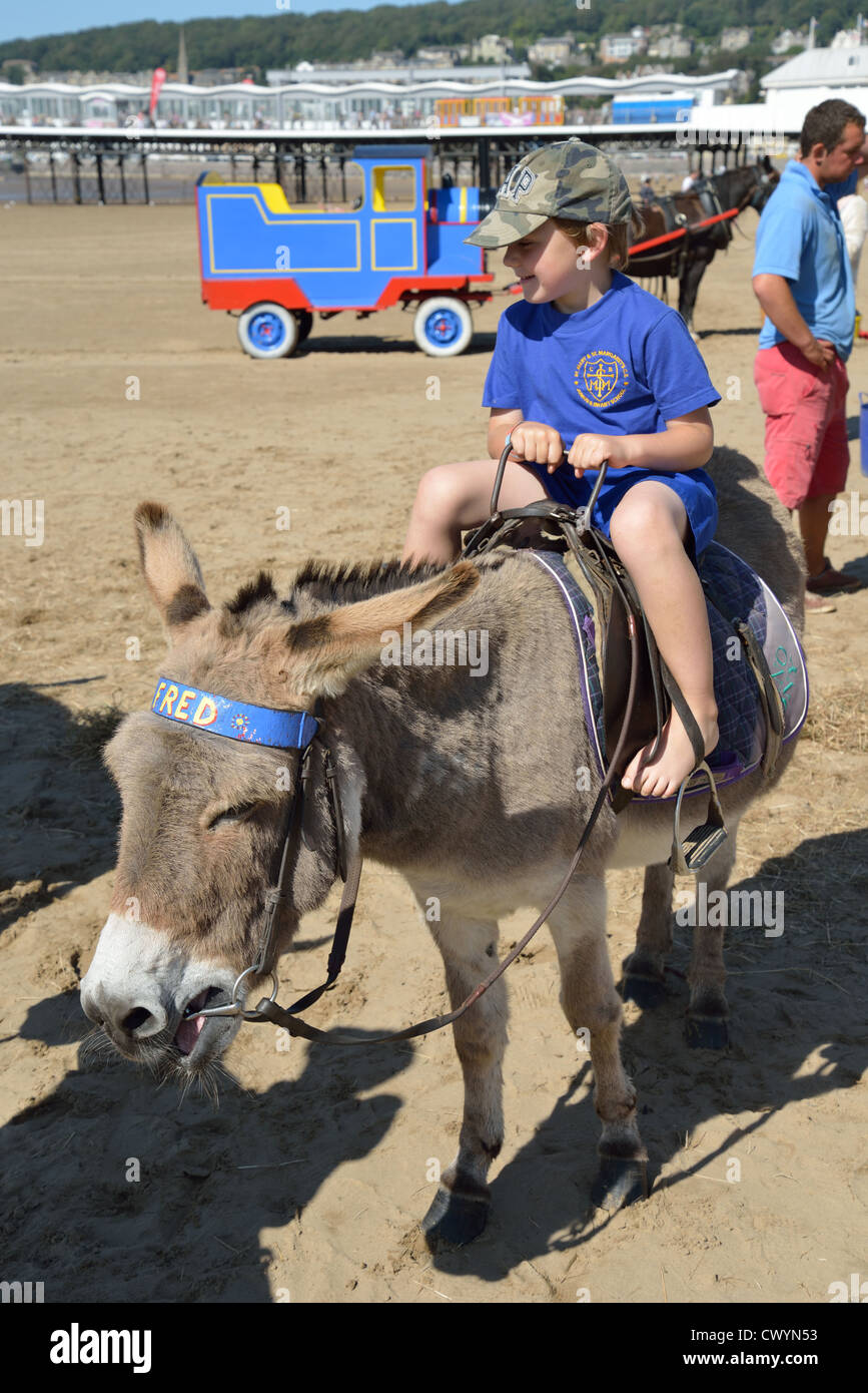 Children's donkey rides on beach, Weston-Super-Mare, Somerset, England ...
