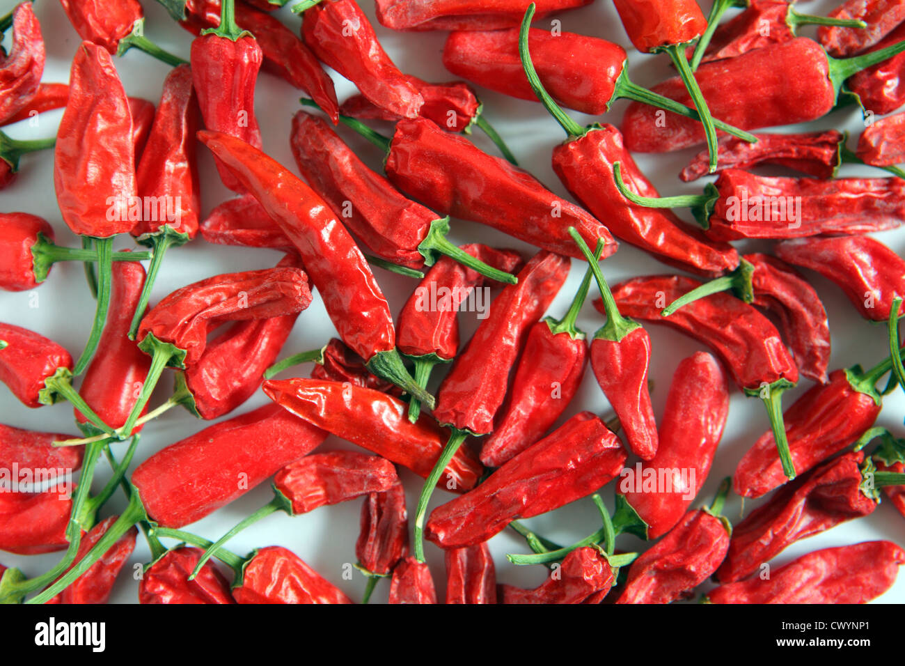 Dry dried red Chili peppers, food stuff, spice ingredient, cooking, health, hot, repetition, studio image, UK Stock Photo