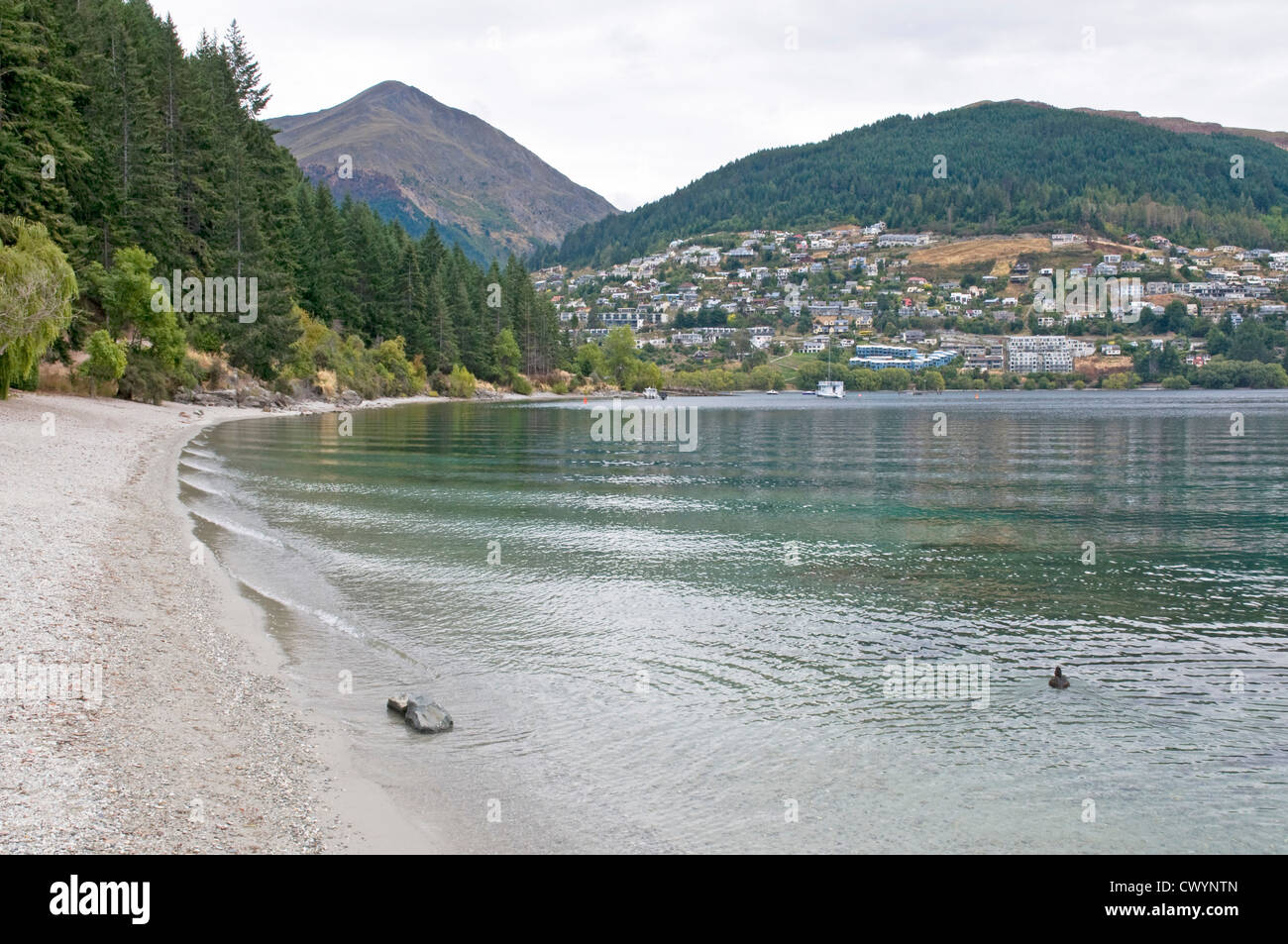 Frankton Arm of Lake Wakatipu, looking north towards Wakatipu Heights