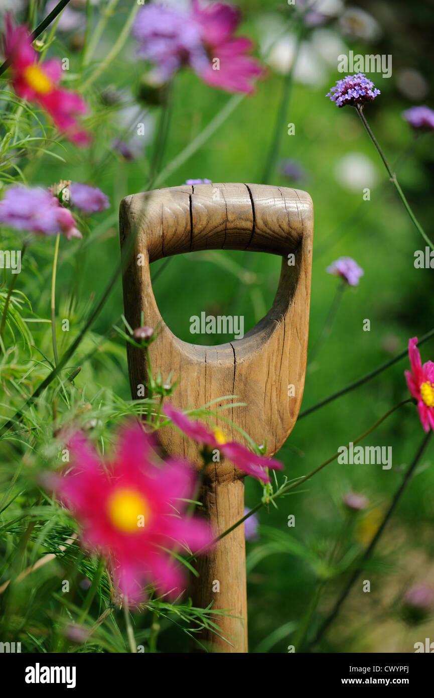 Wooden spade handle amongst summer flower border Stock Photo