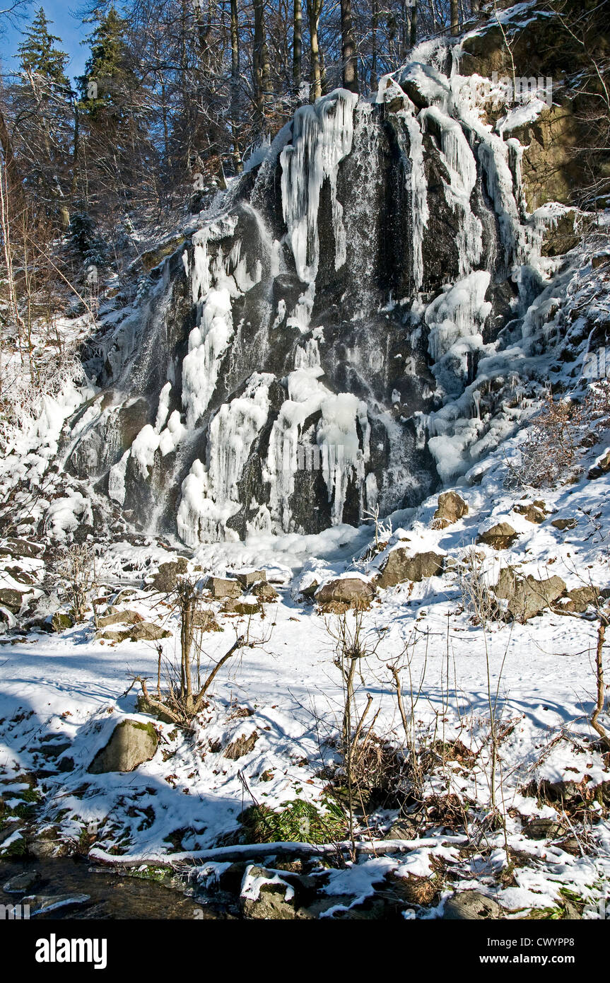 Radau waterfall, Harz, Lower Saxony, Germany, Europe Stock Photo