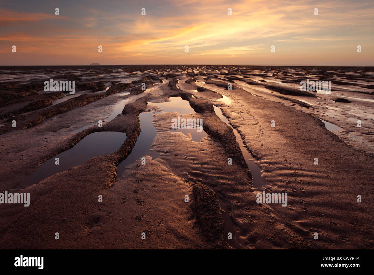 Footprints of wading birds on the mudflats in Sand Bay near Weston-super-Mare. Somerset. England. UK. Stock Photo