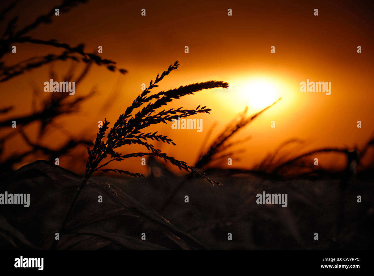 dramatic dark cloudy sunset Stock Photo