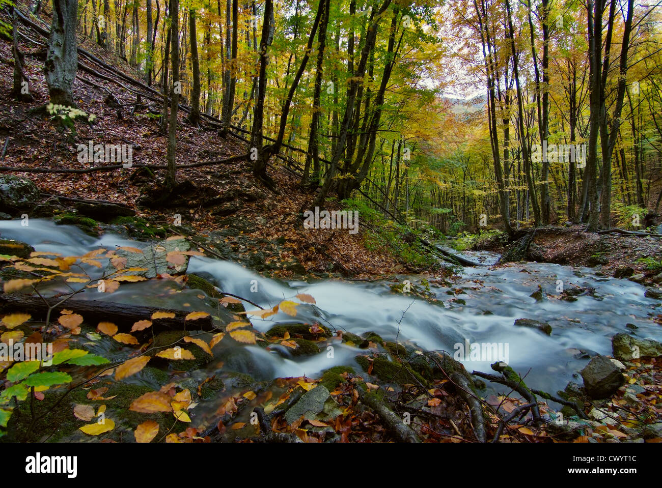 landscape with mountain river in autumn forest Stock Photo - Alamy