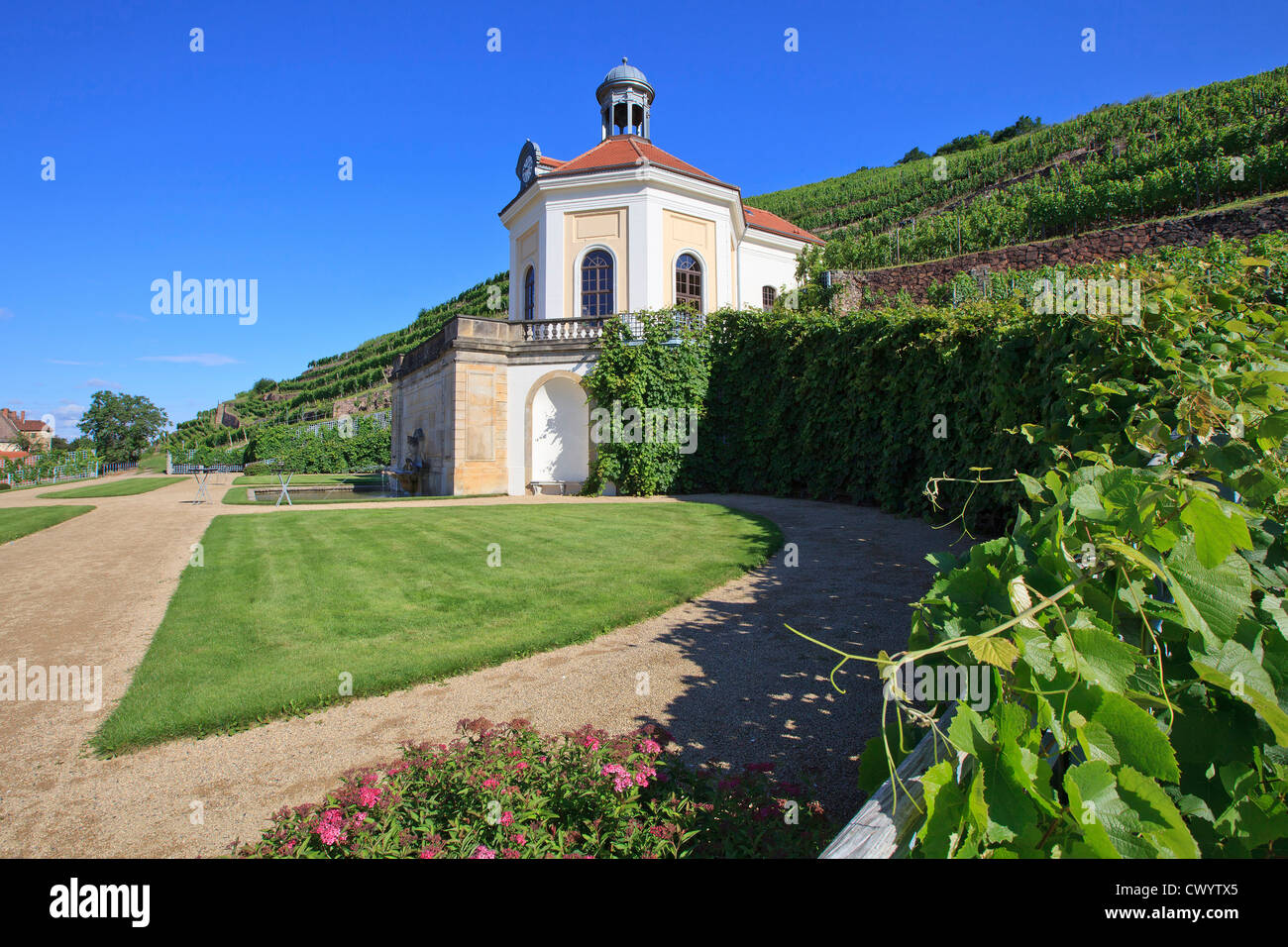 Park of Wackerbarth Castle with vineyard, Radebeul, Germany Stock Photo ...