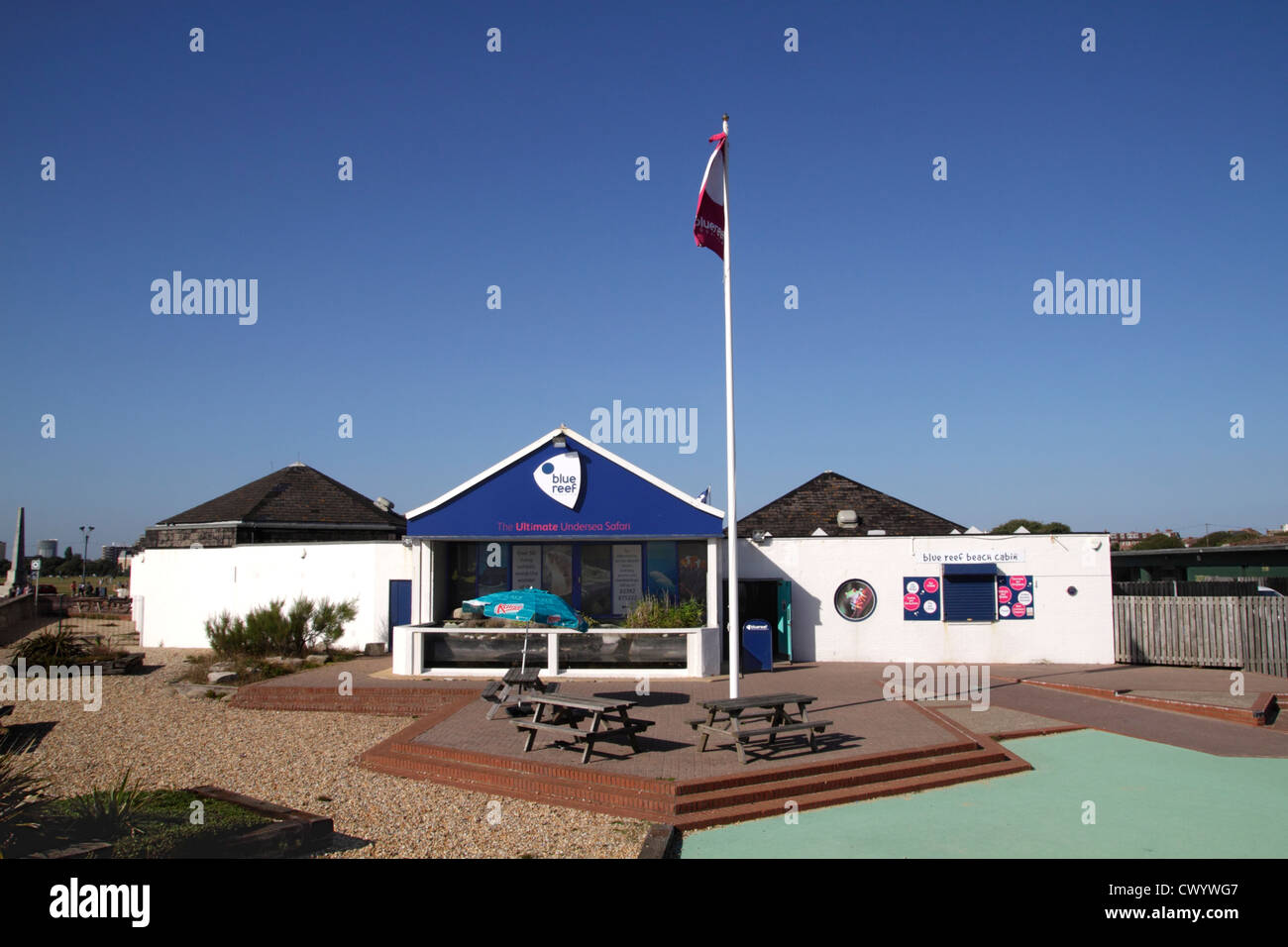 Blue reef aquarium southsea hires stock photography and images Alamy
