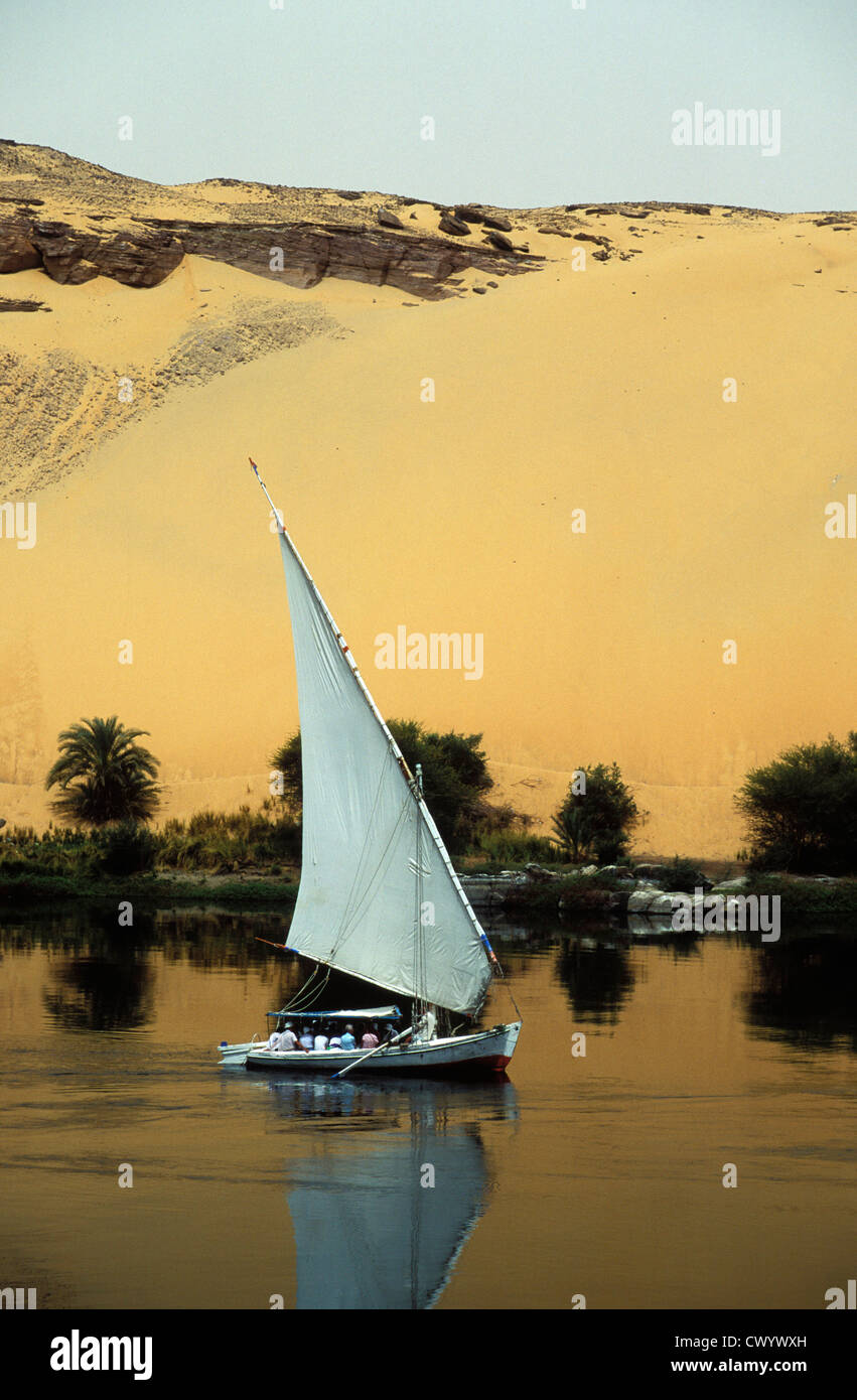 Egypt nile river desert tree hi-res stock photography and images - Alamy
