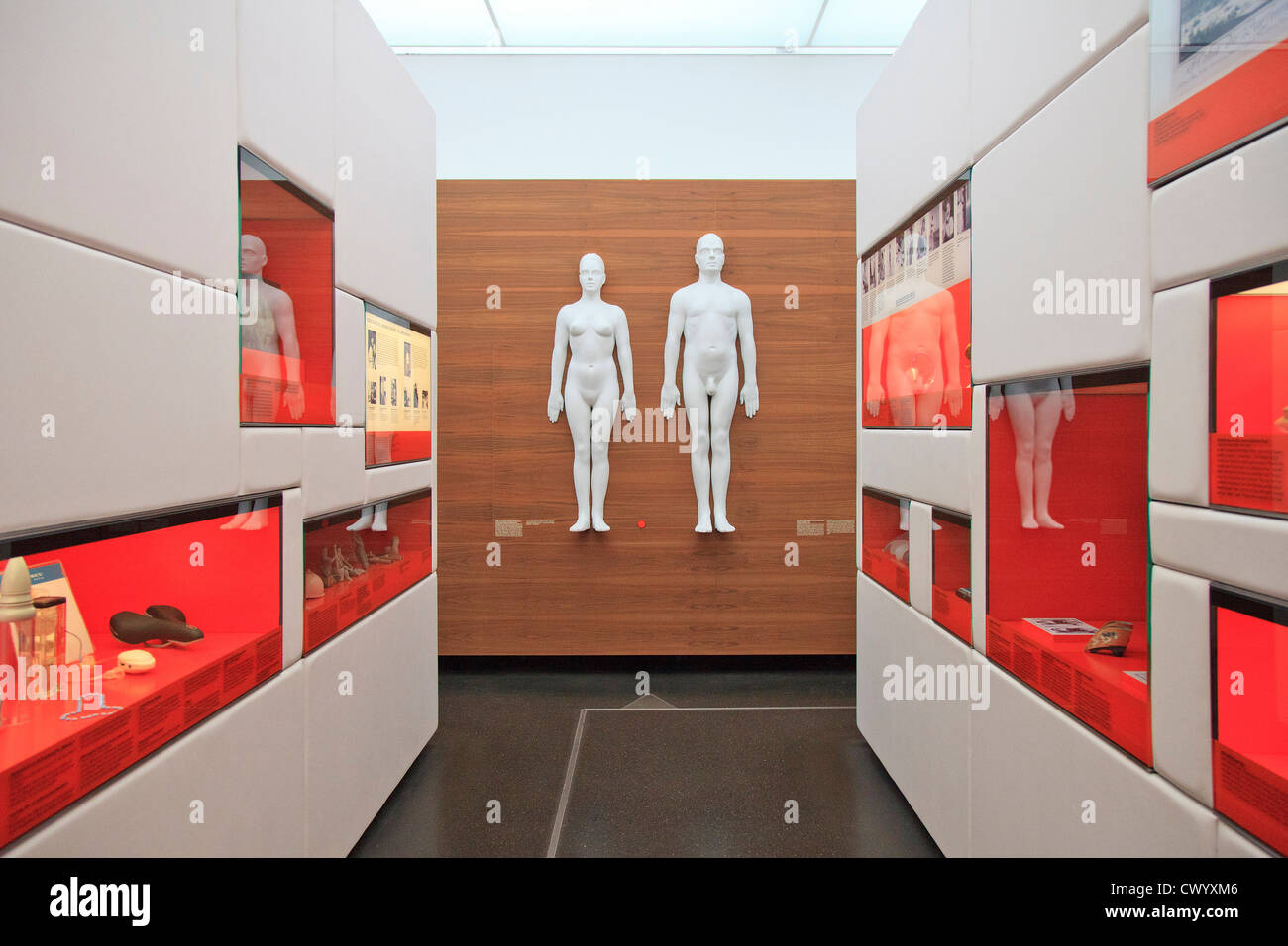 German Hygiene Museum, Dresden, Germany Stock Photo - Alamy