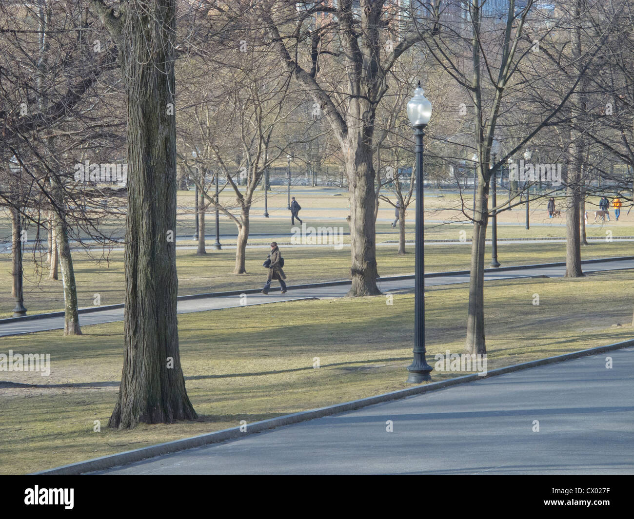 Boston Common Stock Photo