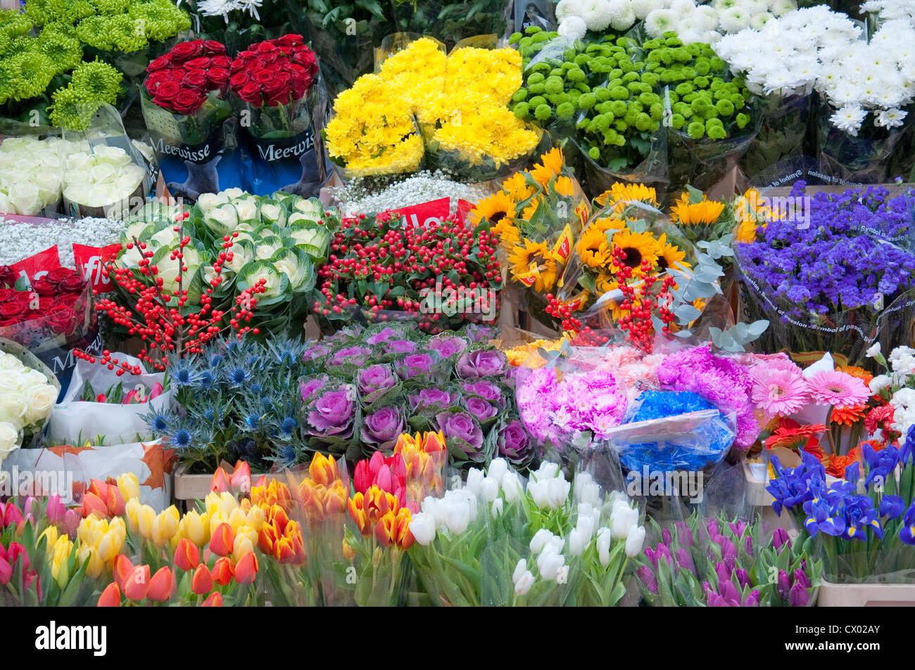 flowers on sale in Dublin Stock Photo Alamy