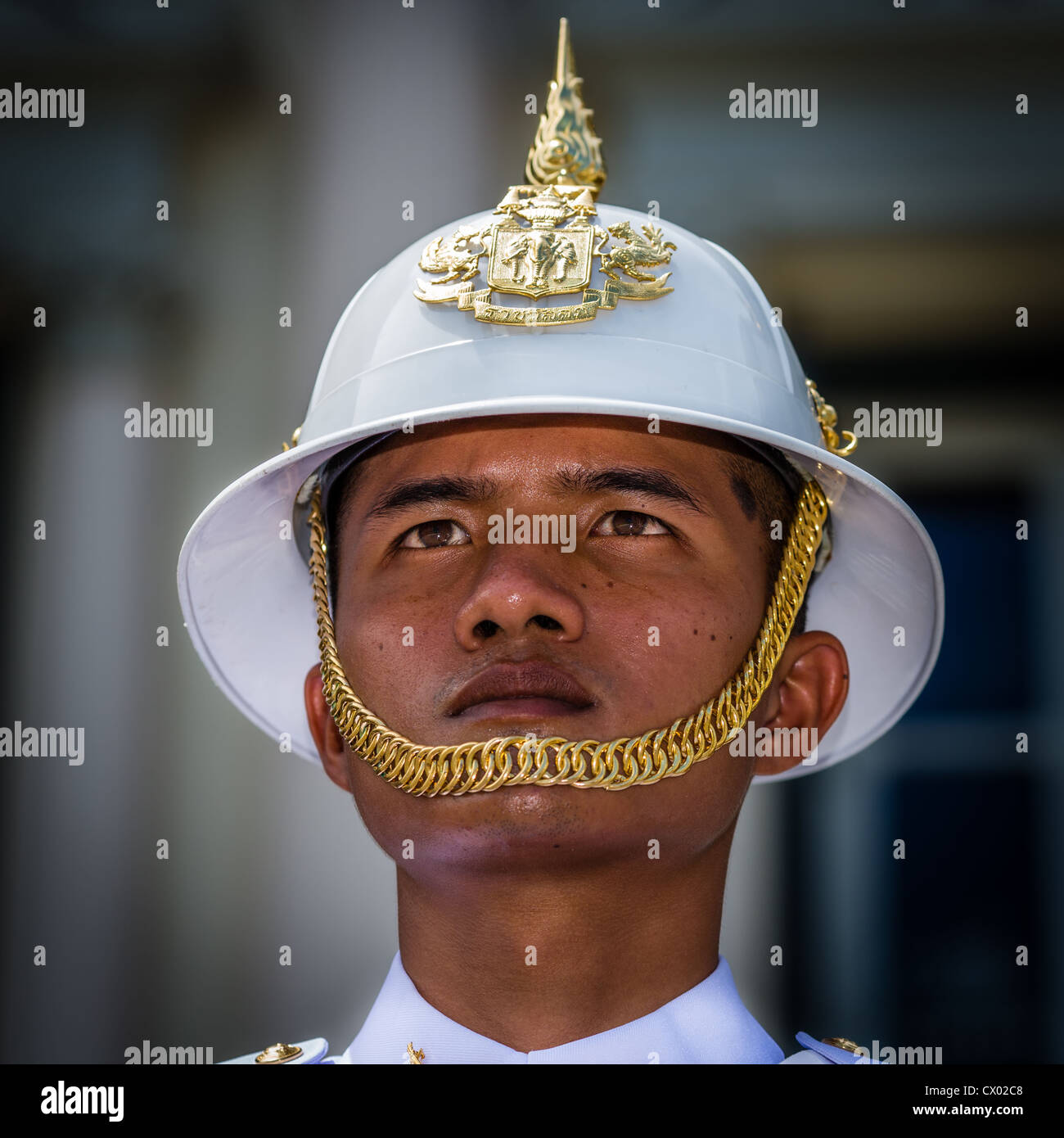 Portrait of royal guard hi-res stock photography and images - Alamy