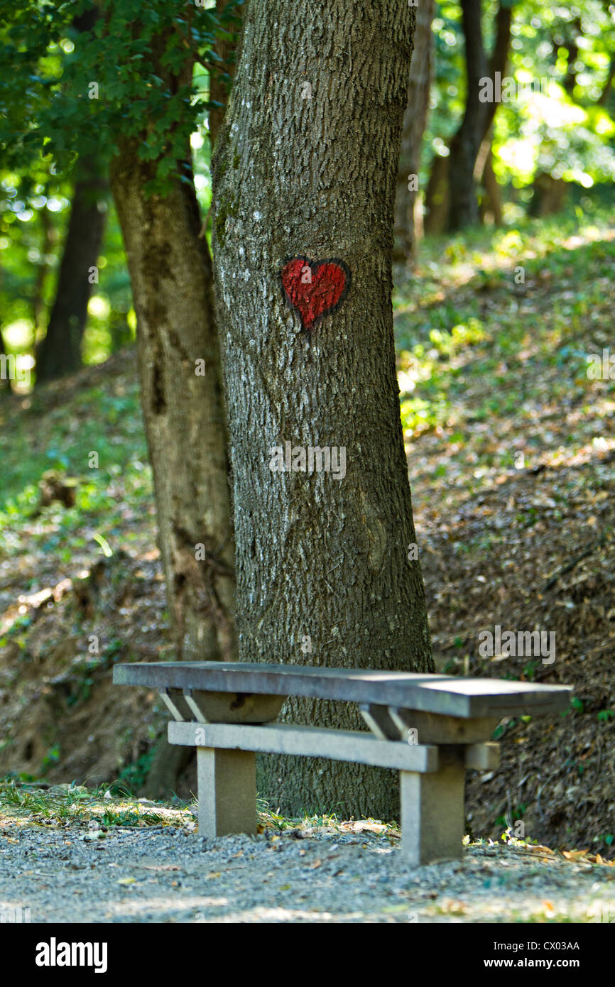 bench in a park with a heart on a tree Stock Photo