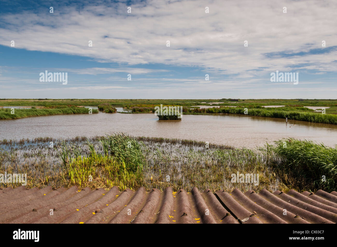 A view from a hide at the Minsmere RSPB bird reserve in Suffolk , England , Britain , Uk Stock Photo