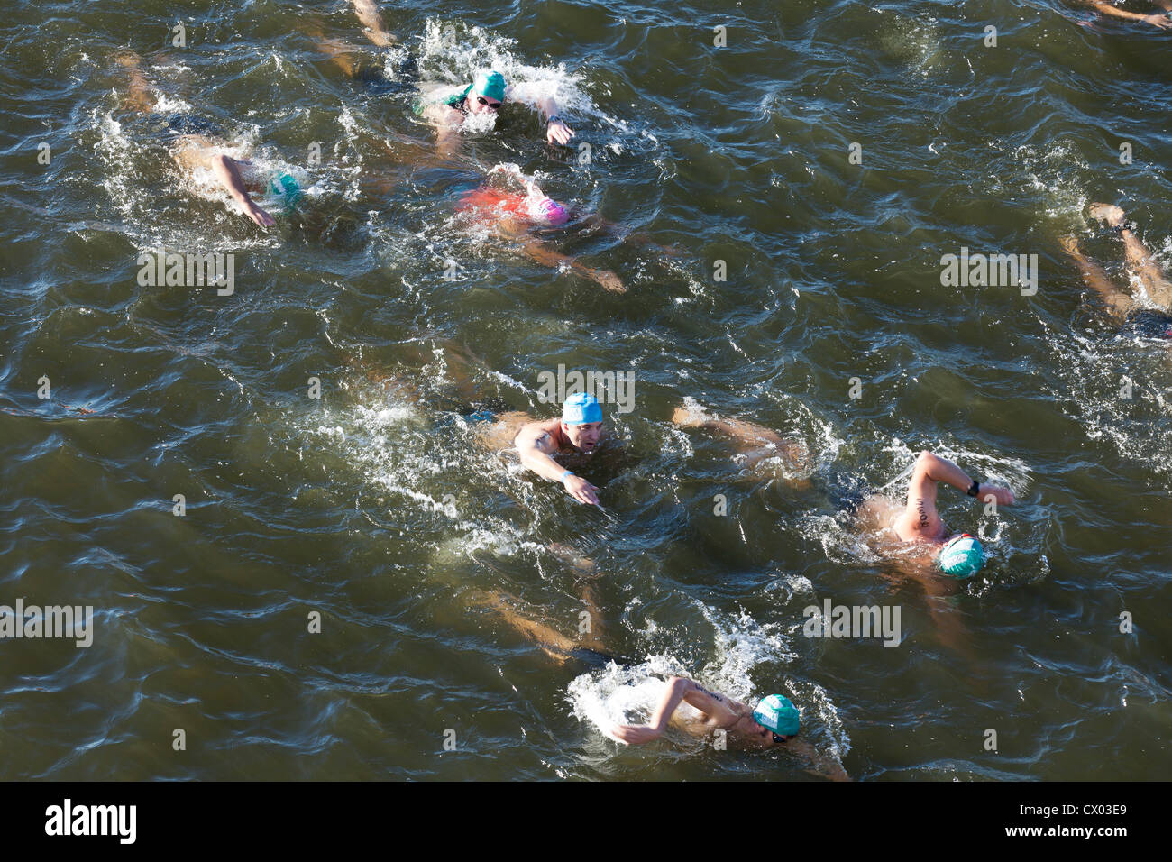 Triathlon swimmers racing in river Stock Photo - Alamy