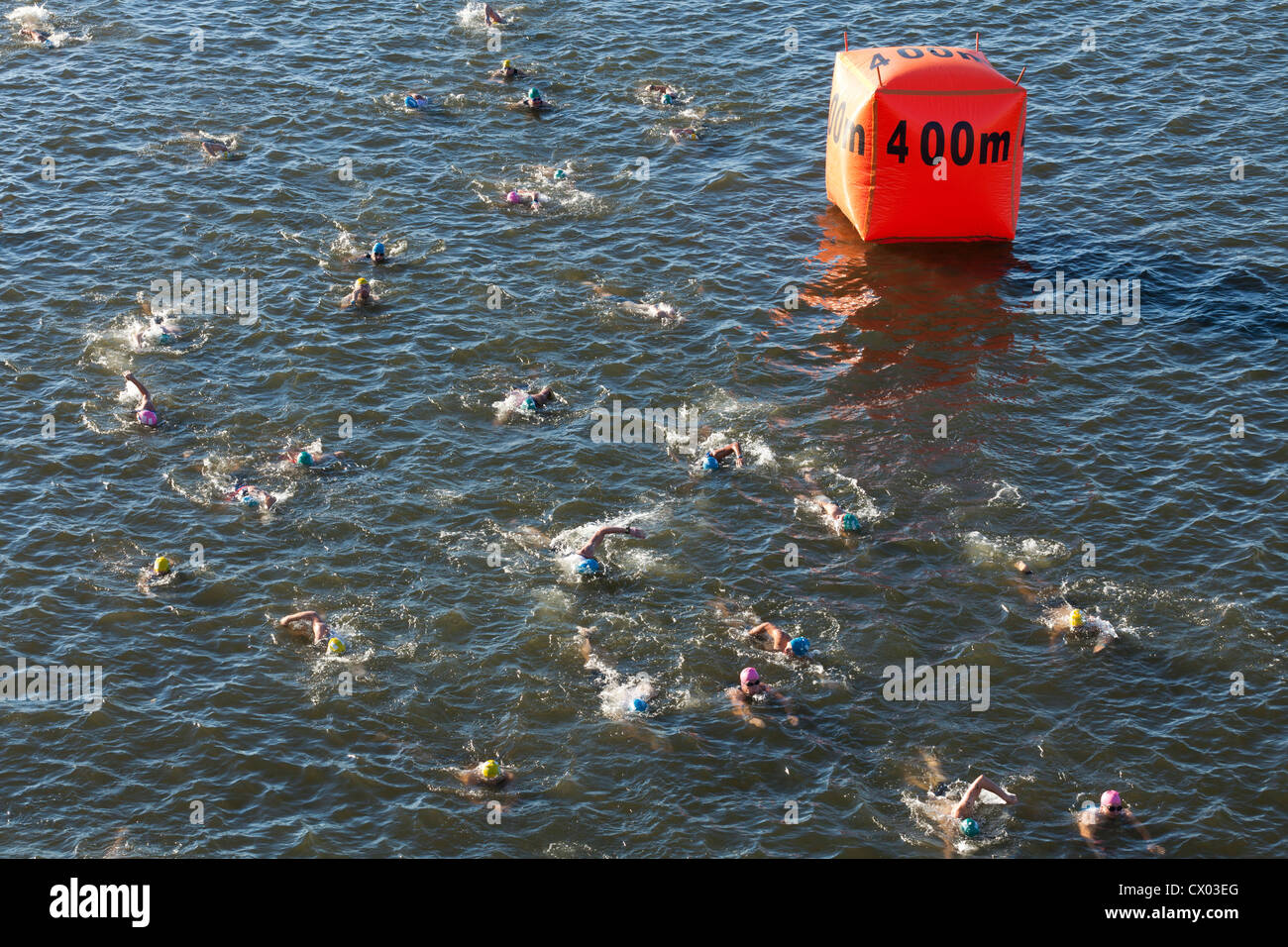 Triathlon swimmers racing in river Stock Photo - Alamy