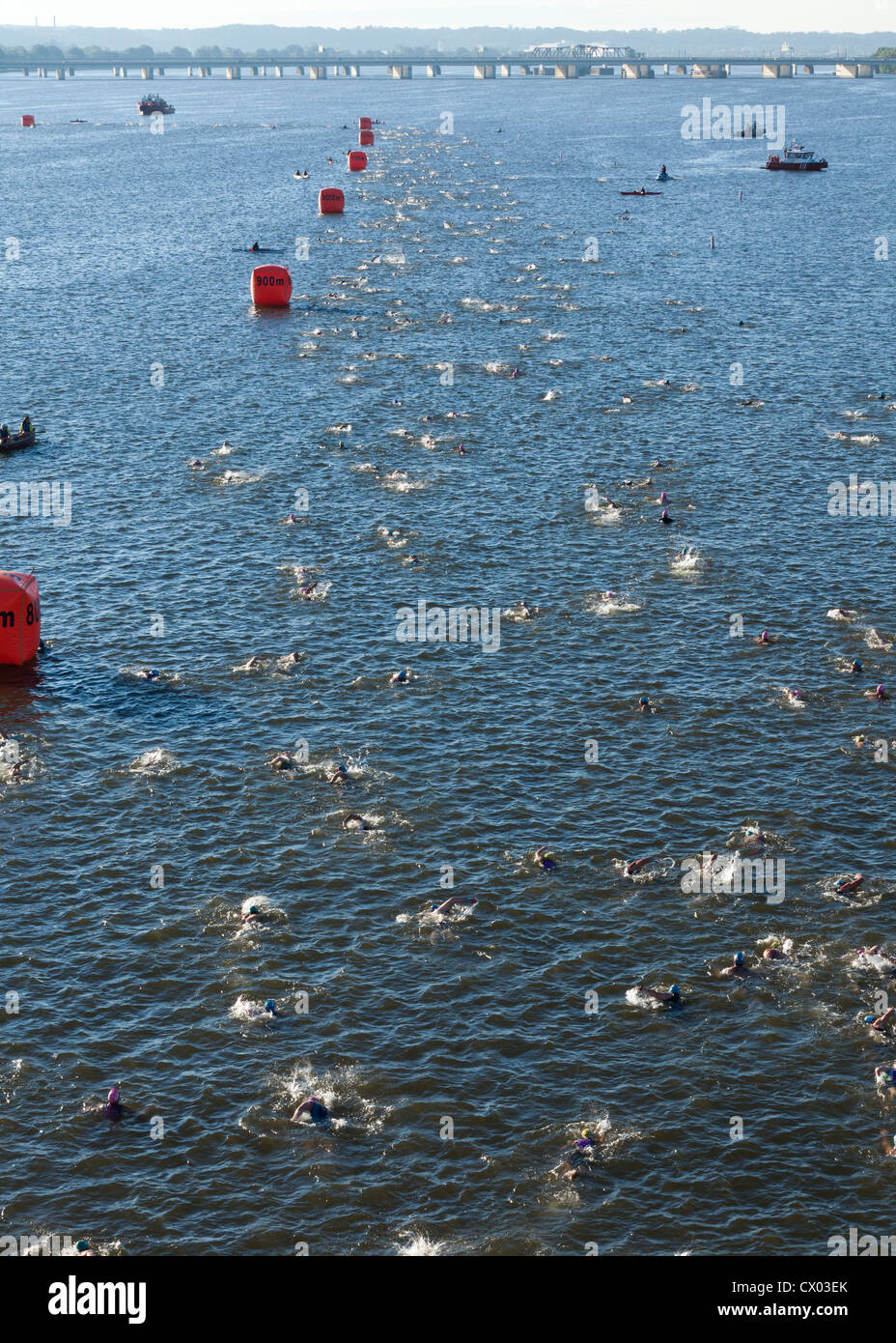 Triathlon swimmers racing in river Stock Photo - Alamy