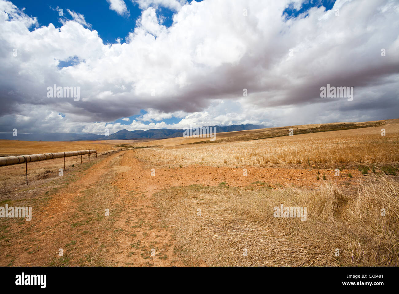 open field in Western Cape, South Africa Stock Photo