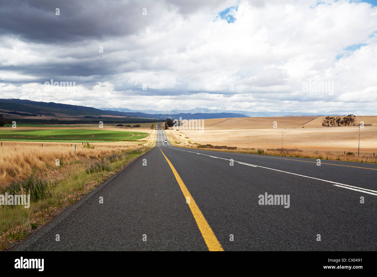road through farm land in western cape, south africa Stock Photo