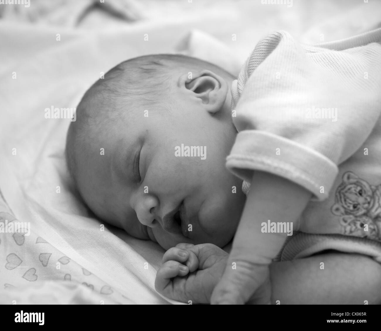 Newborn baby sleeping Stock Photo Alamy