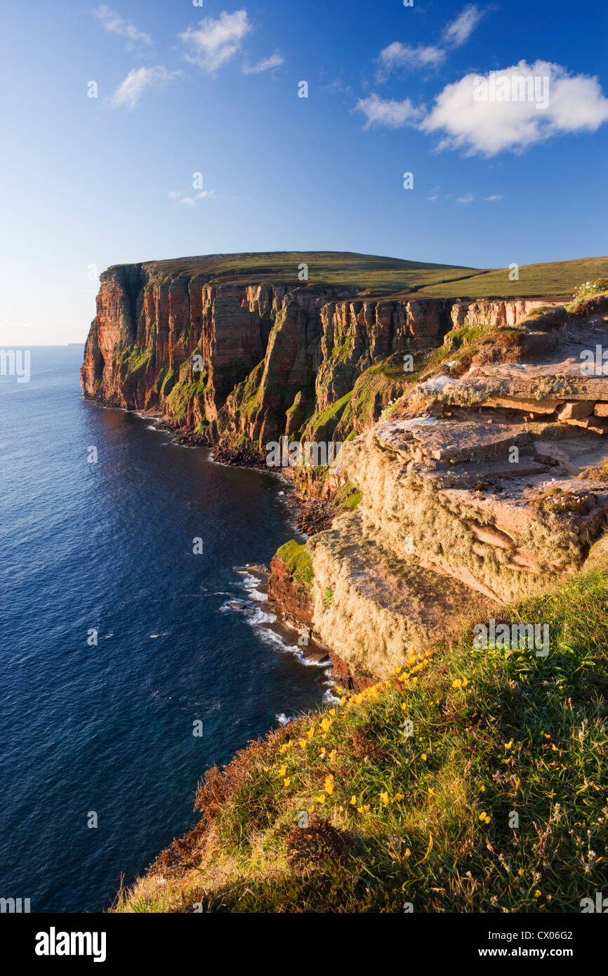 Cliffs north from Old Man of Hoy, Hoy, Orkney Islands, Scotland, UK. Stock Photo