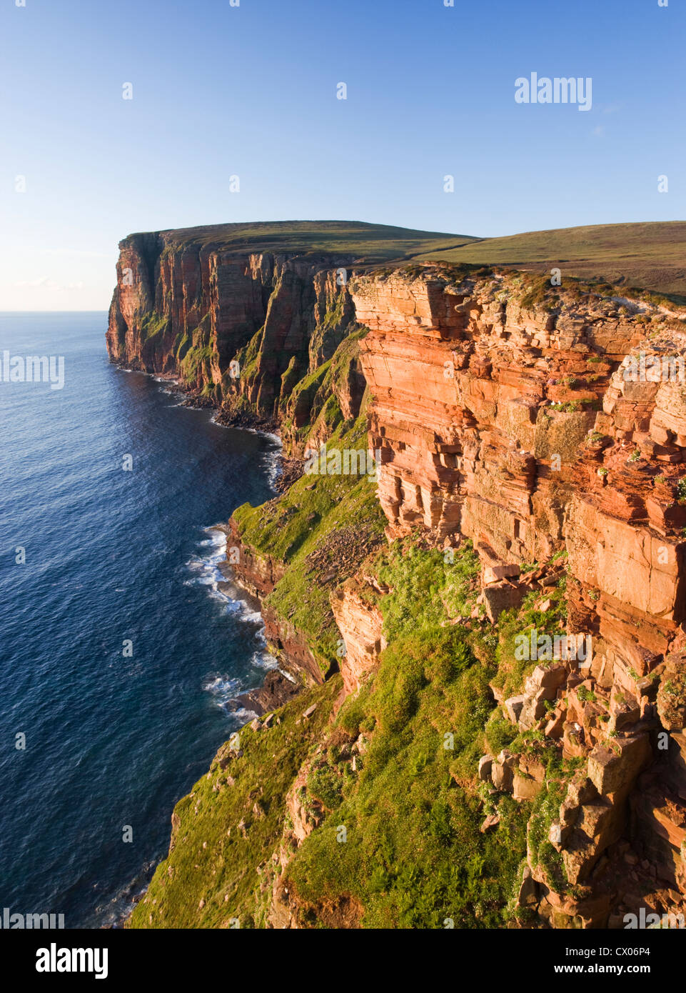 Cliffs north from Old Man of Hoy, Hoy, Orkney Islands, Scotland, UK. Stock Photo