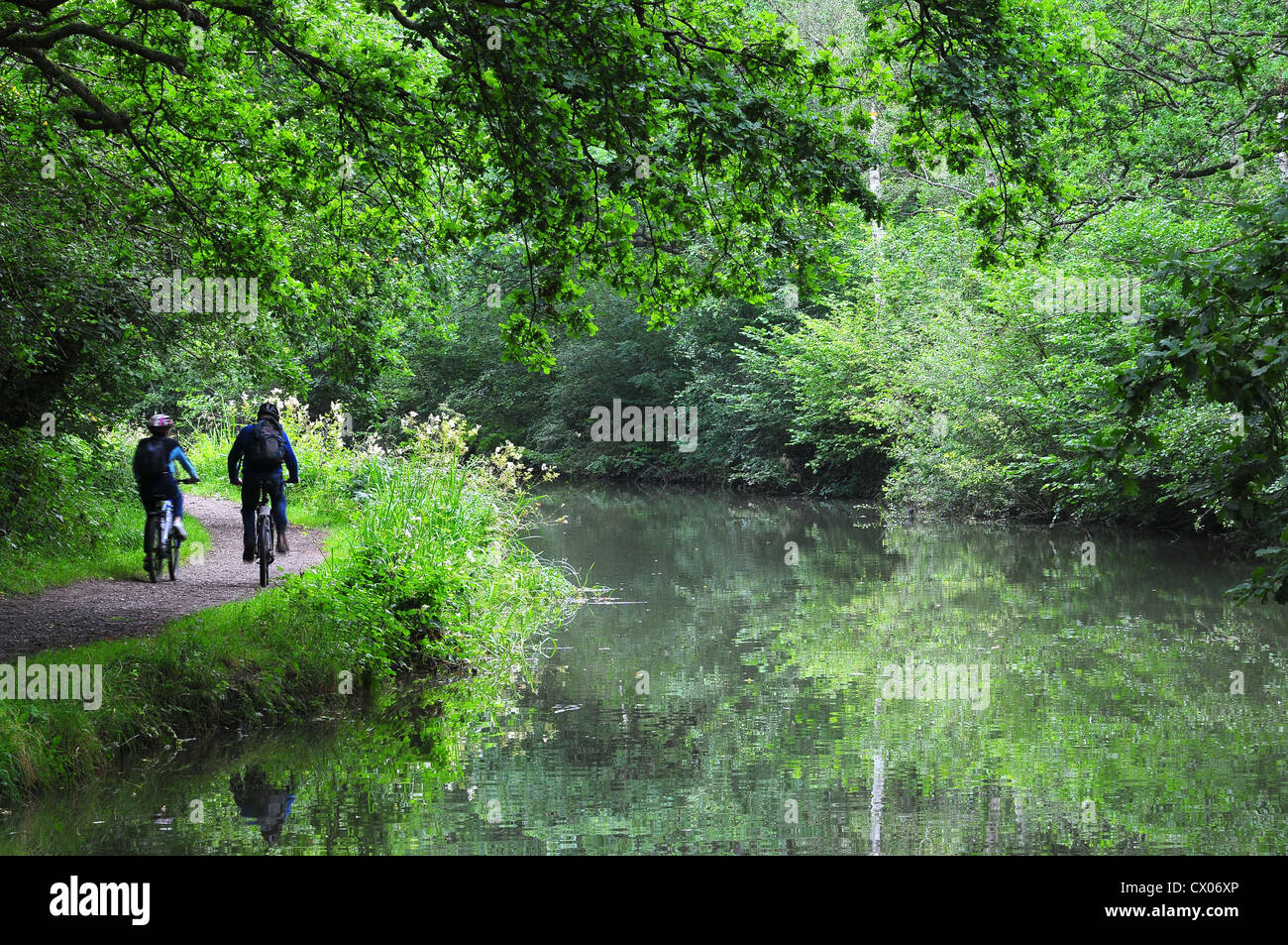 Two people cycling on the towpath near Crookham on the Basingstoke Canal UK Stock Photo