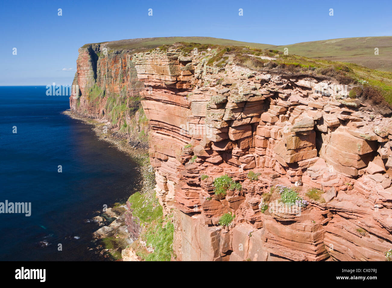 Cliffs north from Old Man of Hoy, Hoy, Orkney Islands, Scotland, UK. Stock Photo