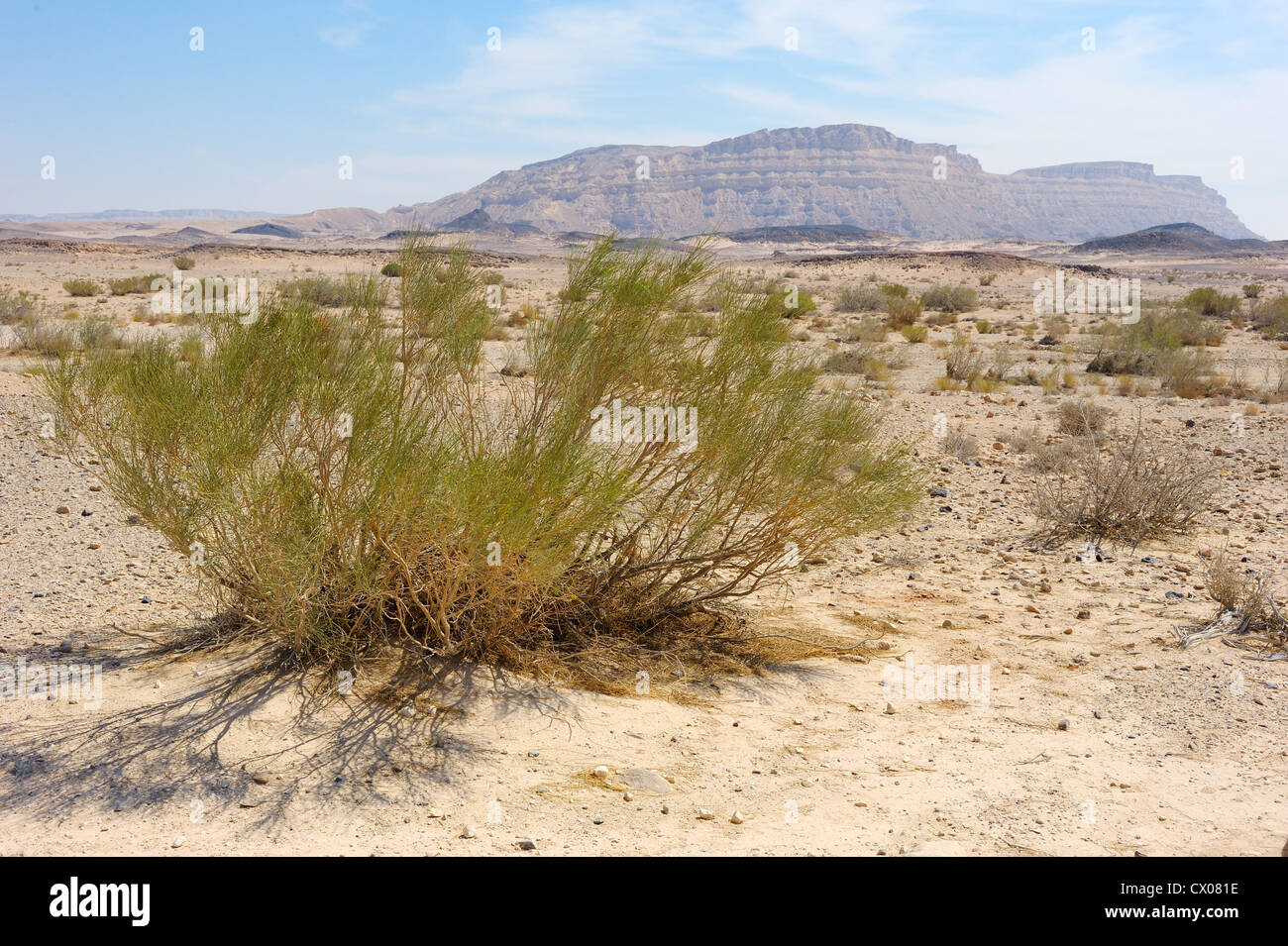 Mactesh Ramon Makhtesh Ramon, unique crater in Negev desert, Israel Stock Photo - Alamy