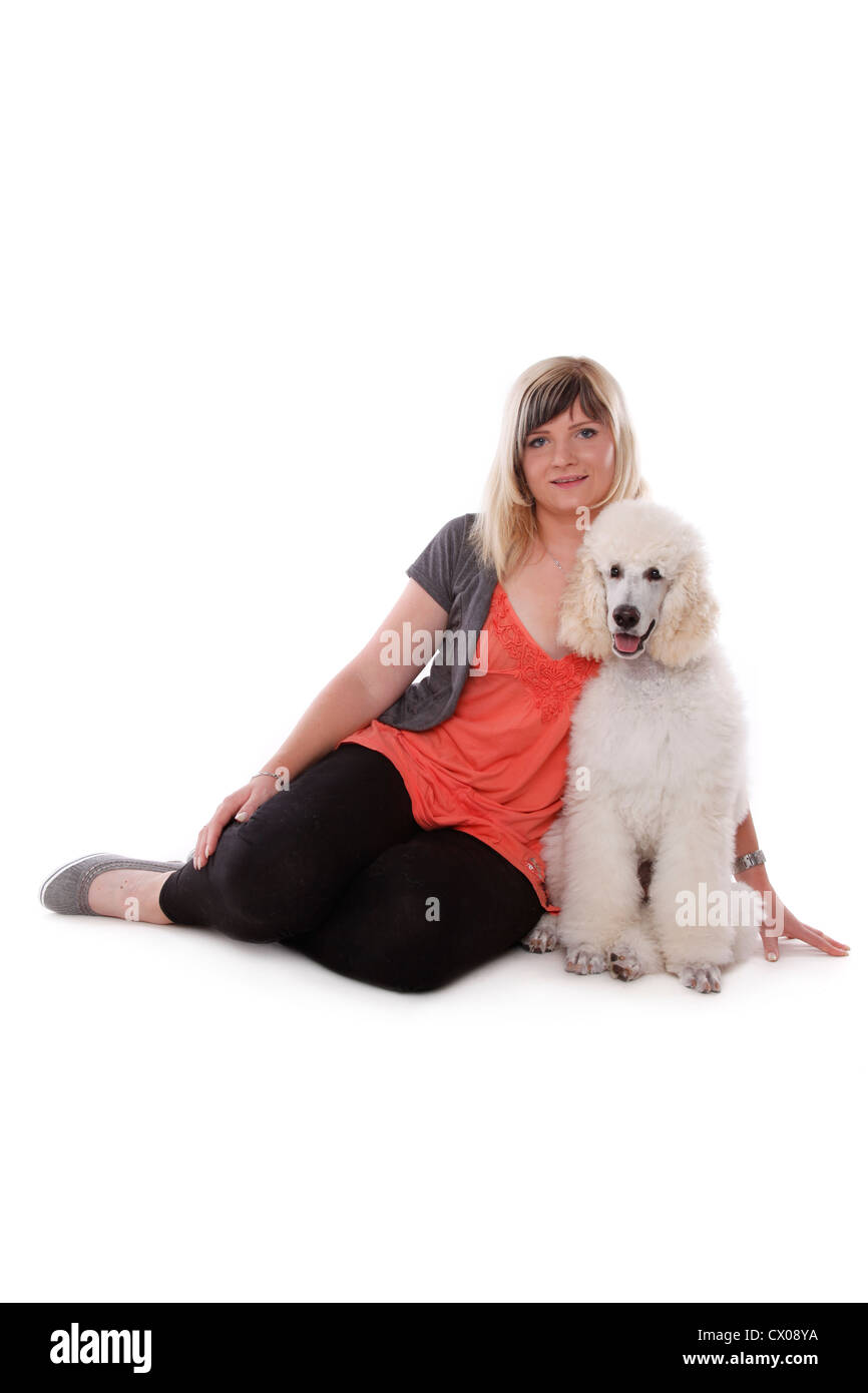 sitting standard poodle Stock Photo - Alamy