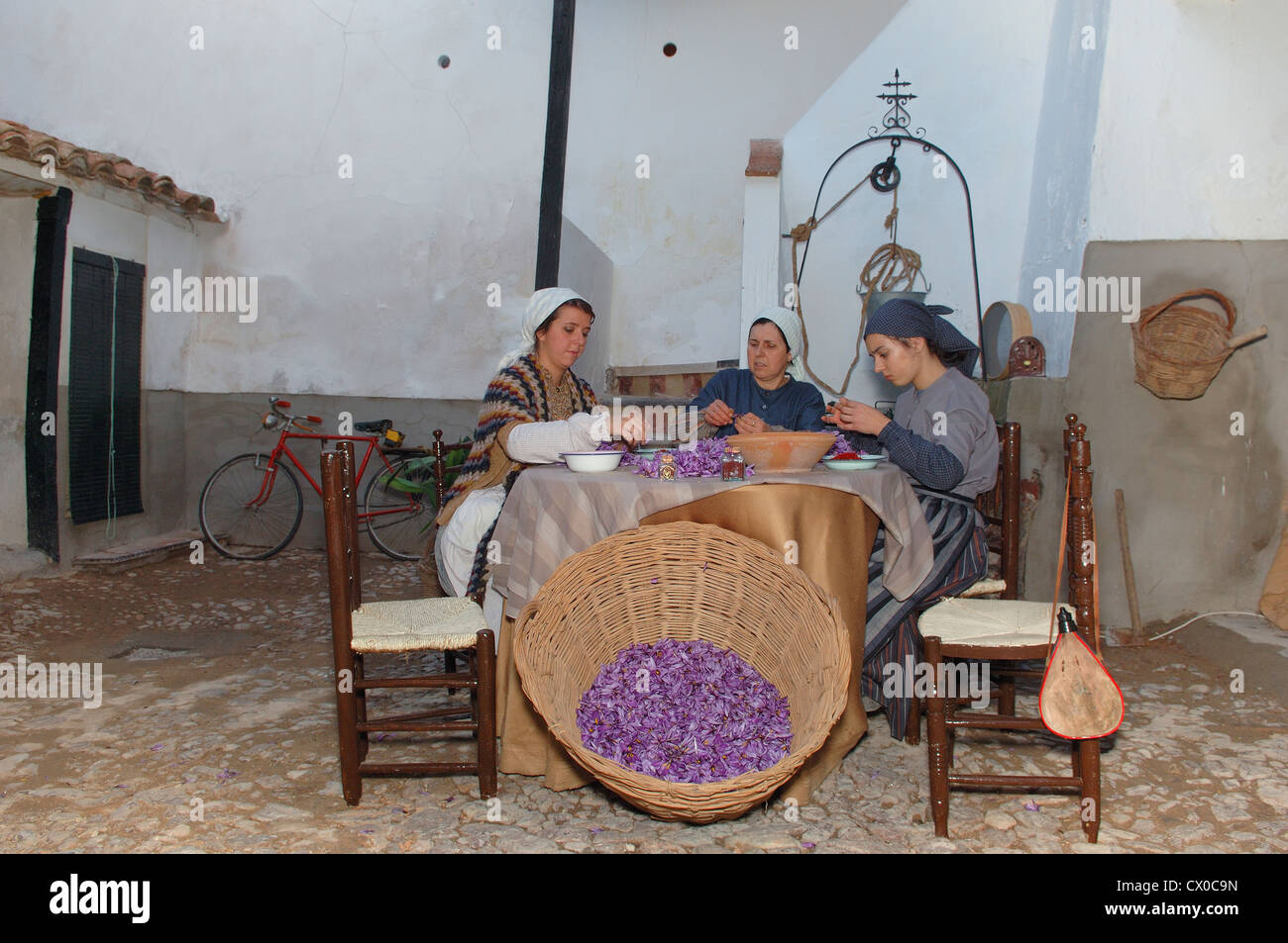 Consuegra, Extracting saffron flower stigmas, Saffron Rose festival