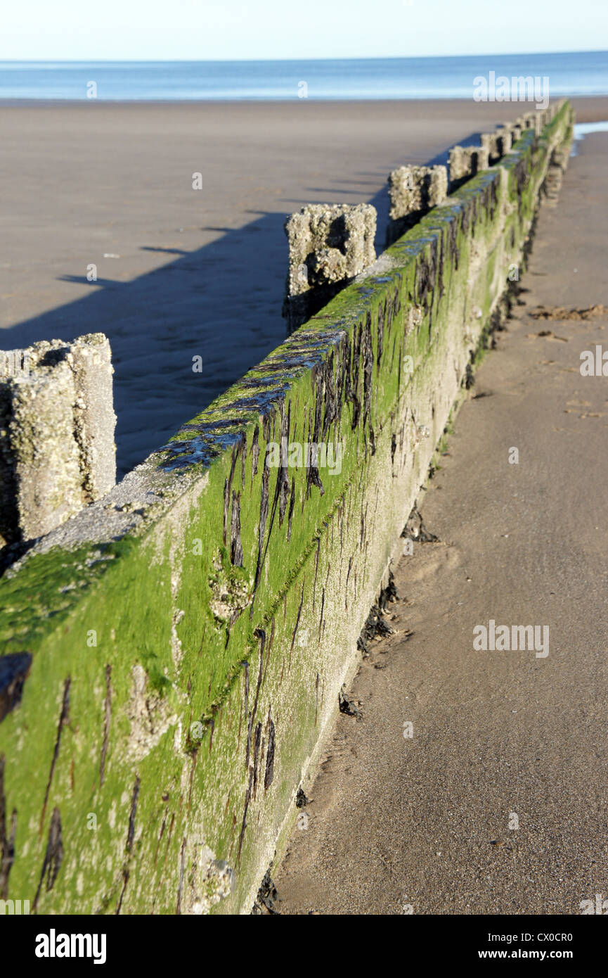 Wave breaker on a beach Stock Photo Alamy