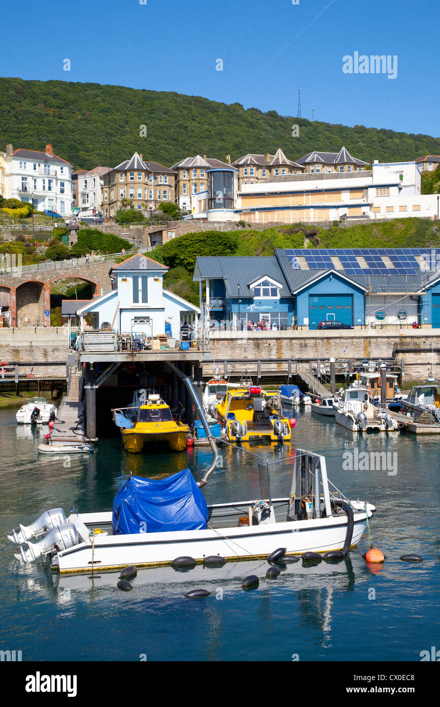 Fishing Boats, Tourists, Haven, Marina, Beach, dog walker, Ventnor