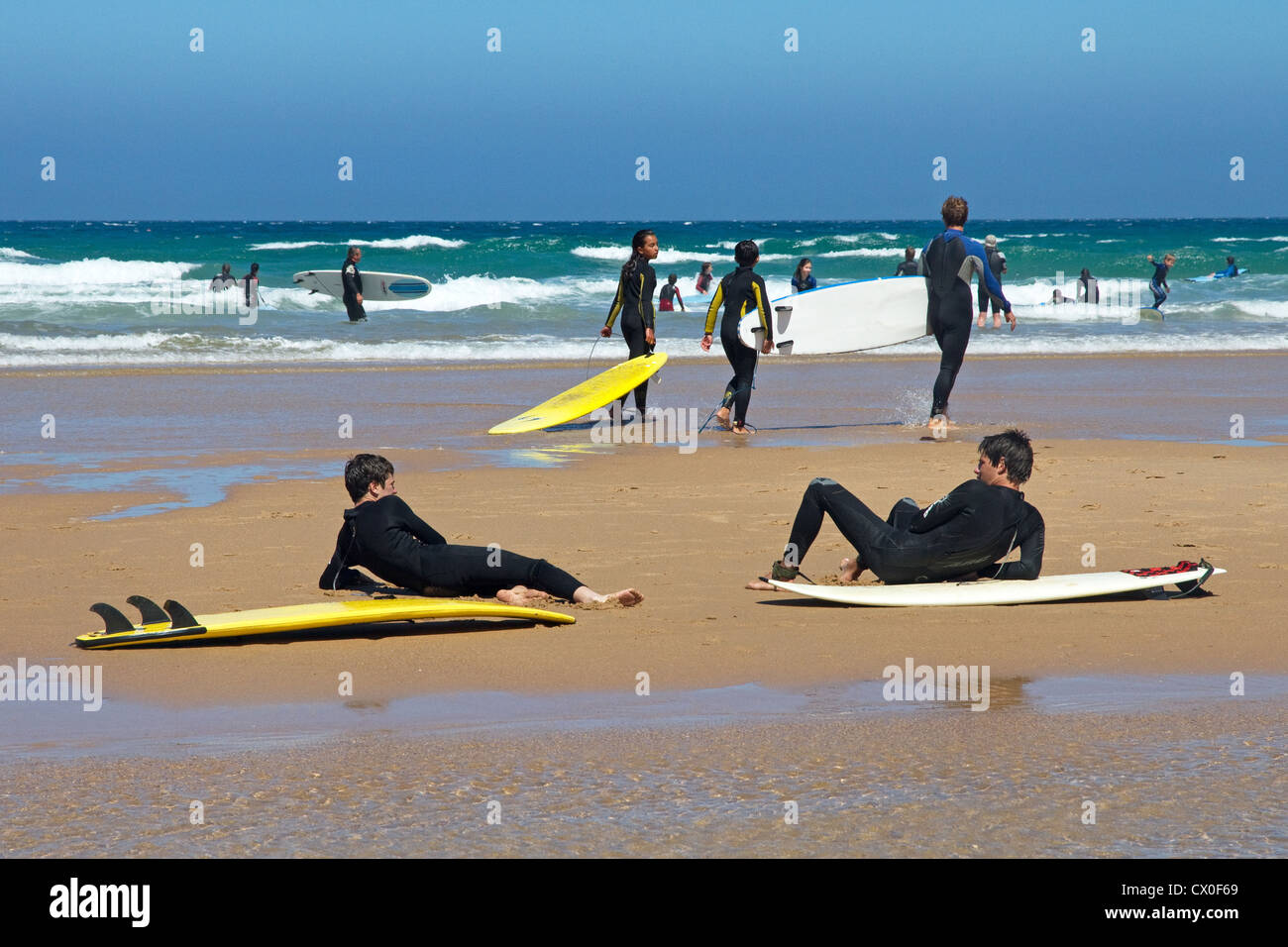 Portuguese Flag Flag Of Portugal Stock Image Colourbox