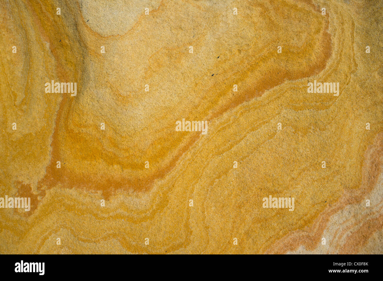 Detail of Limestone Rock Surface Stock Photo