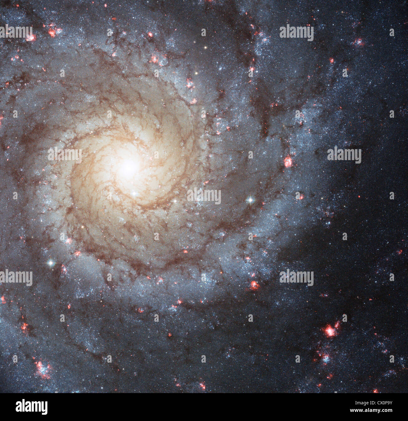 M74, Phantom Galaxy Spiral Galaxy type NASA Hubble photograph Stock Photo