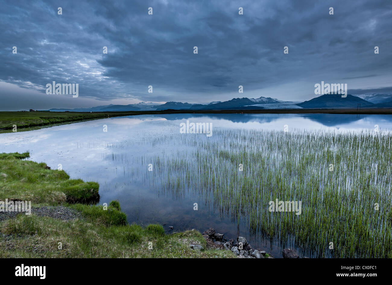 Pond with Common Spike-rush (Eleocharis palustris) Glacial tongues in the background, Vatnajokull Ice Cap, Iceland Stock Photo