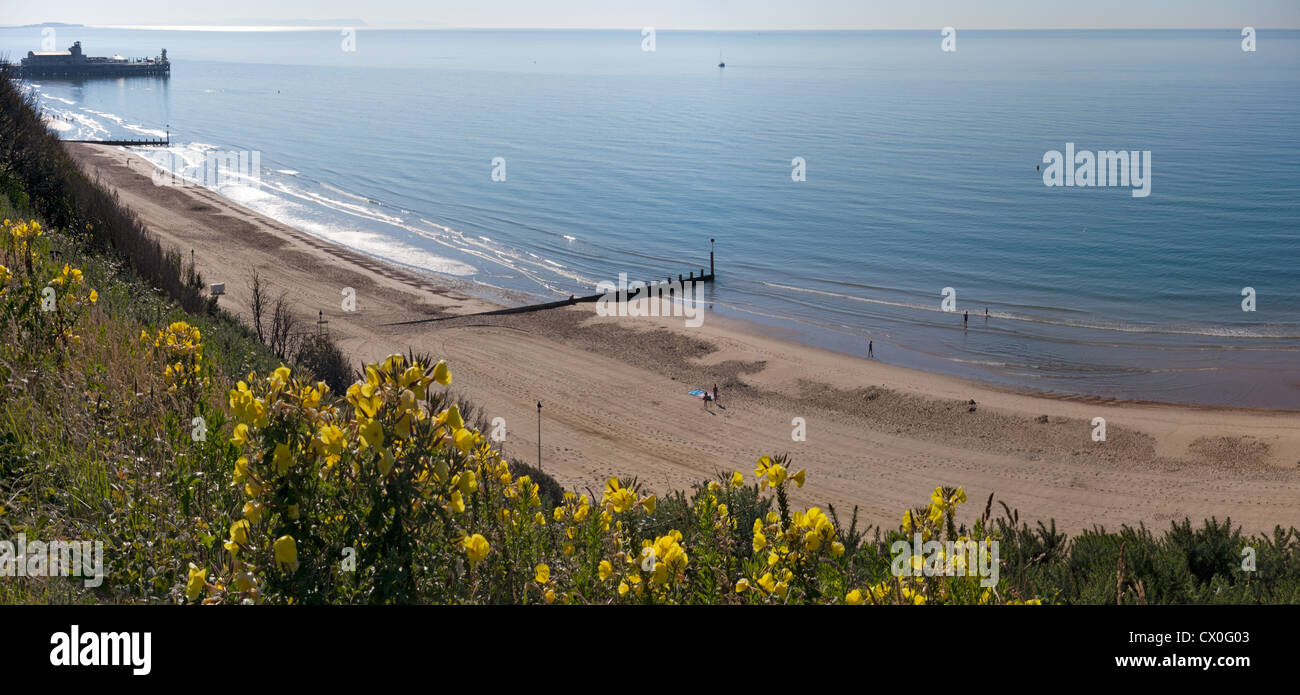 A sweeping panorama of Bournemouth Beach with the Pier to the left. Stock Photo