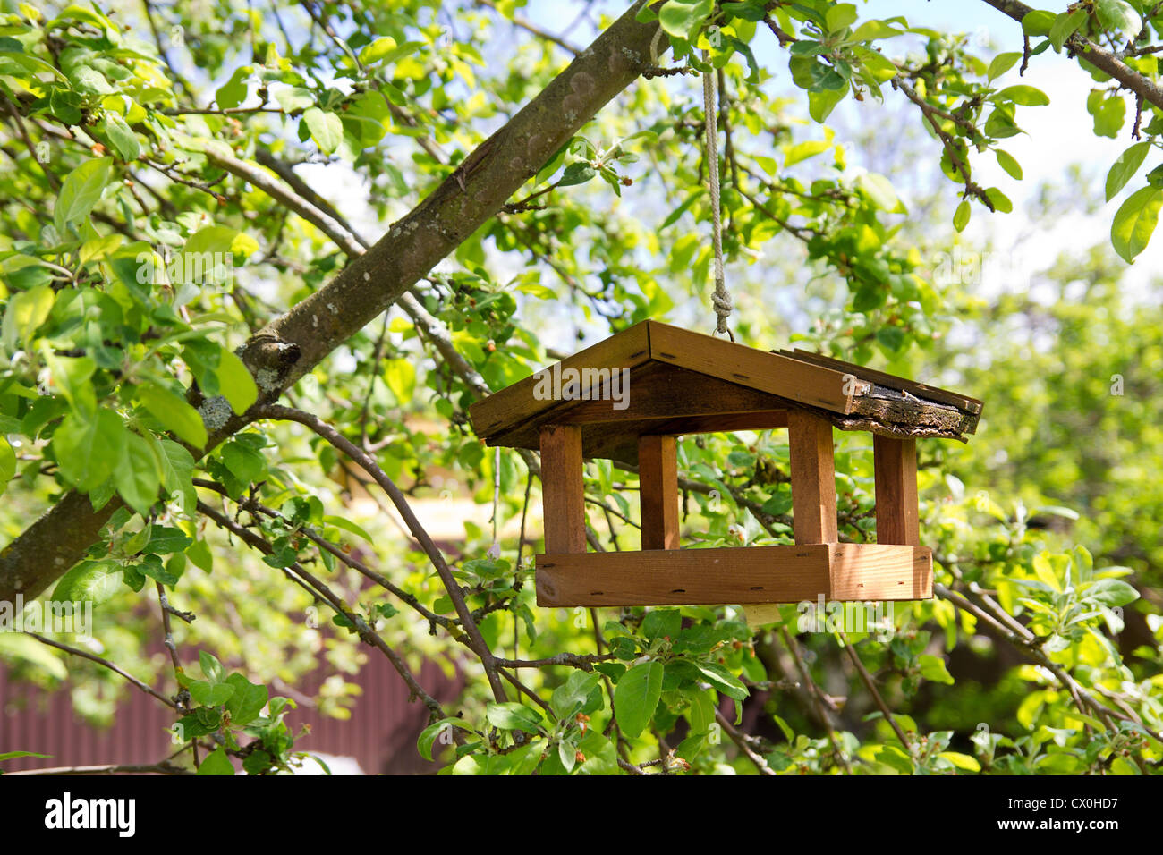 Apple tree garden hi-res stock photography and images - Alamy