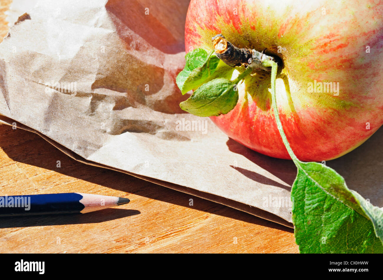 A brown paper lunch bag, a freshly picked apple and a pencil are all objects enjoyed by students going back to school. Stock Photo