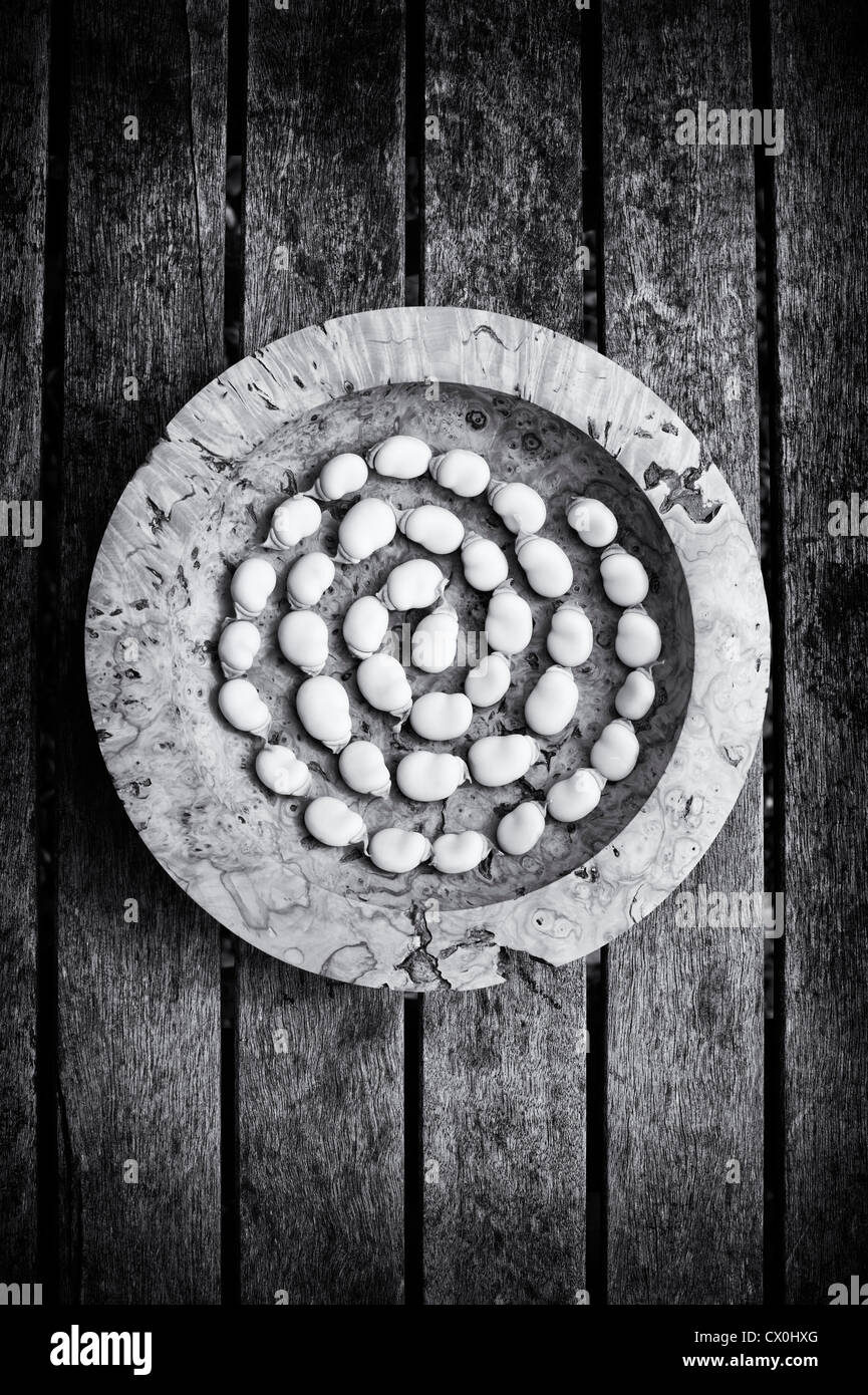 Broad bean spiral in a wooden bowl on a garden table. Monochrome Stock Photo