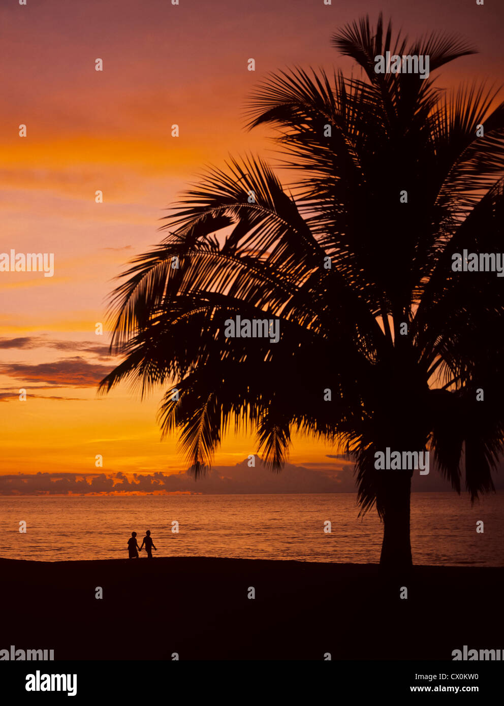 8175. Batu Feringghi Beach at sunset, Penang, Malaysia Stock Photo