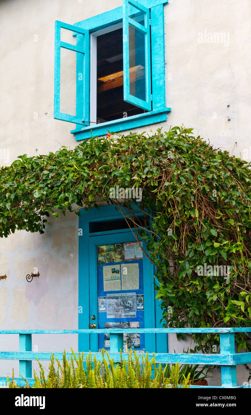 A colorful door and window on a building in the Funk Zone in "Santa