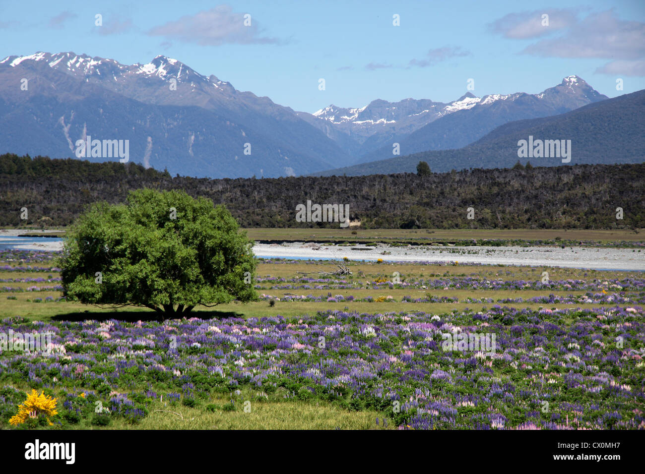 Eglinton hires stock photography and images Alamy