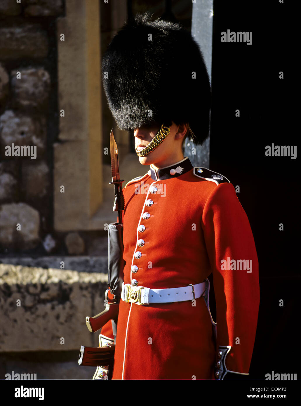Guardsman High Resolution Stock Photography and Images Alamy